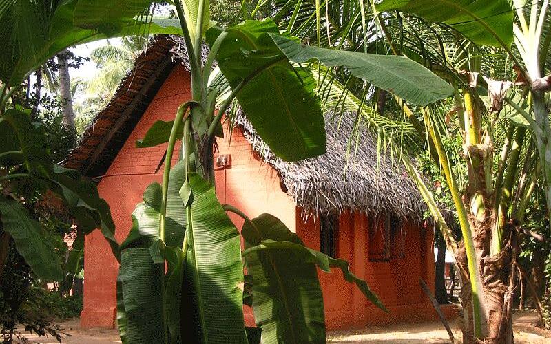 Royal Beach Resort, Chennai 5